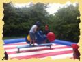 Beschreibung: img_2260.jpg